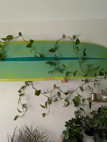 Leaf Shaped Wall Hanger for Vines