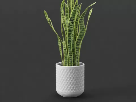 planter
