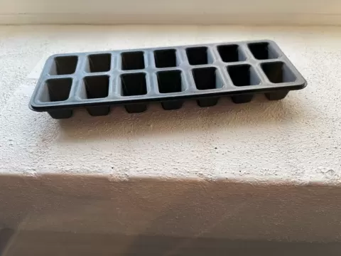 icecubetray