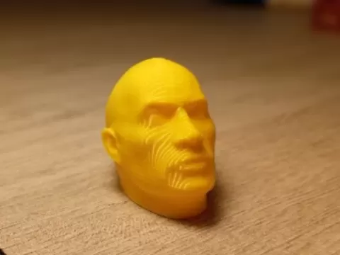 The Rock head
