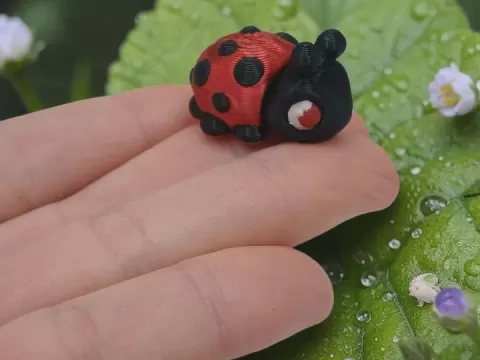 3D Tinys Ladybugby 3D Tinys Prints