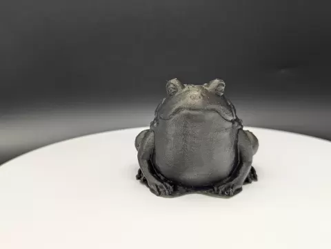 Frog - Swamp