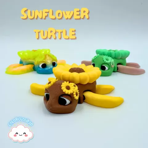 Sunflower Turtle - ColorCloud3D