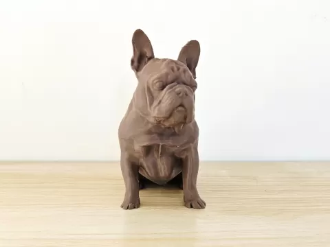 Bouledogue Français