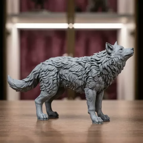 dire Wolf by ABDULLAH ALAN