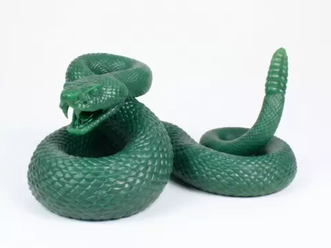 Rattlesnake