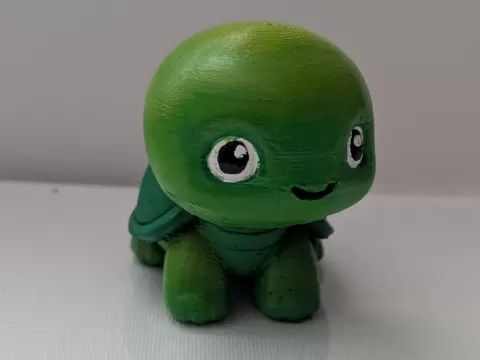 Cute little turtle