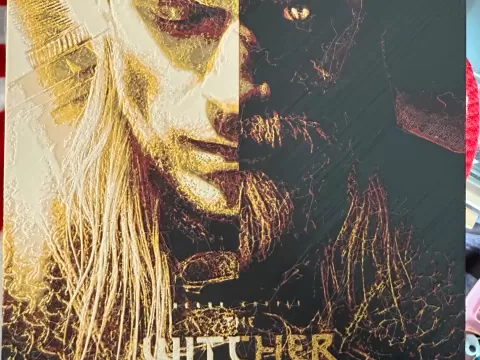 The Witcher (1)