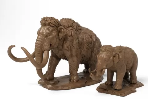 Mammoths