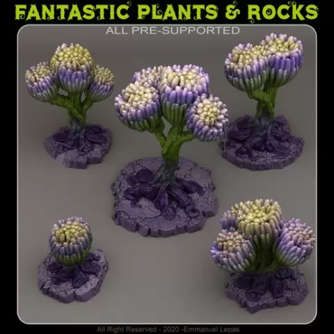 SCI FI UNKNOWN FLOWERS