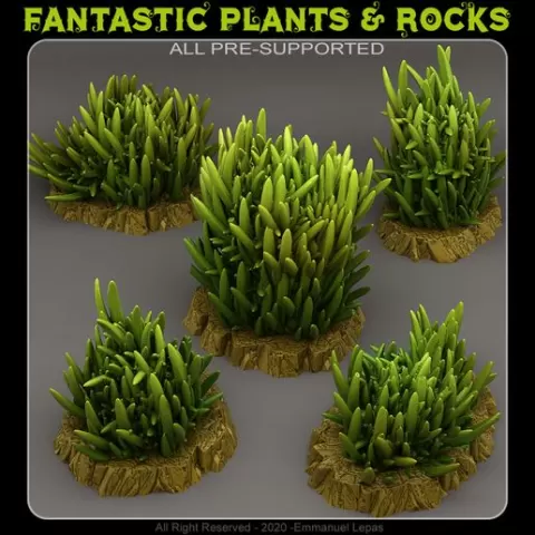 PRICKLY TALL GRASS