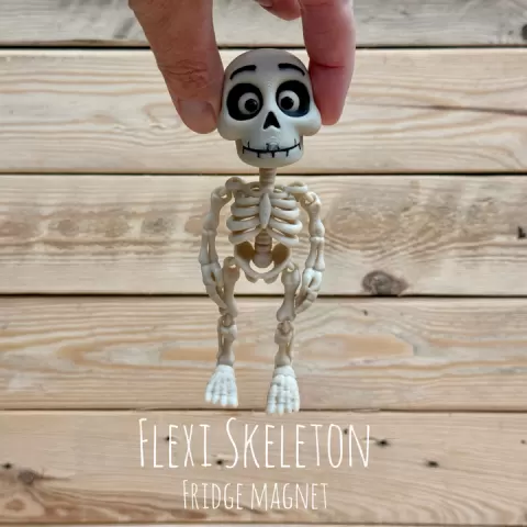 Flexi Skeleton, Fridge Magnet by ENIQUE3D