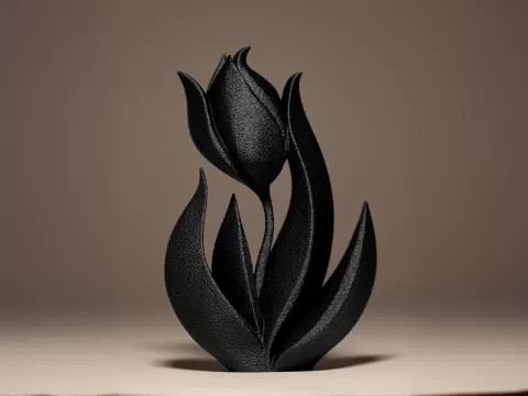 Tulip Decor