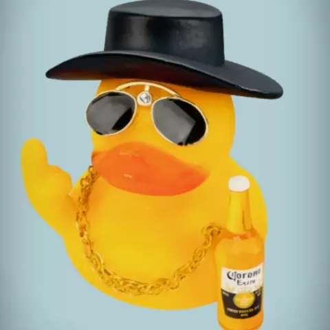 Chilled Rubber Duck