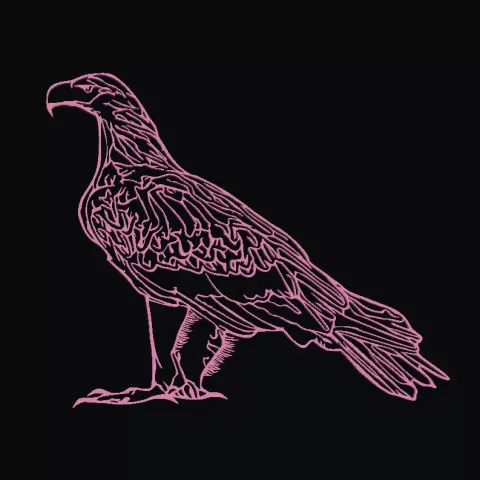 Australian Wedge Tail Eagleby Krystal3dp