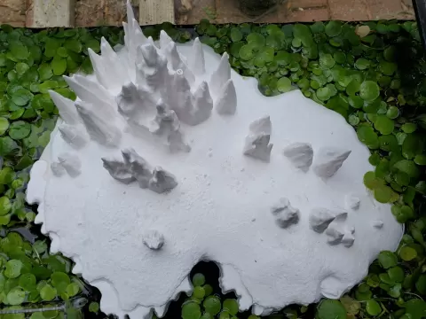 Floating Island Top