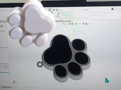 Cat Paw
