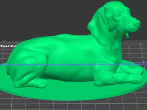 Perro salchicha