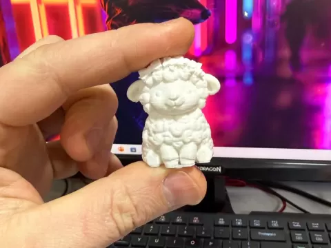 Litte Lamb or Sheep