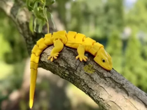 Flexi lizardby Benjamin40