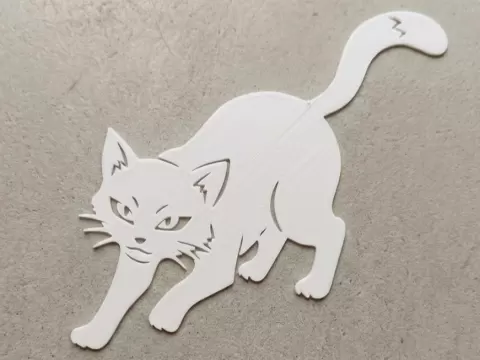 猫の発見