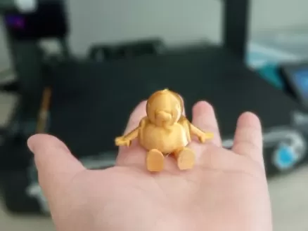 sitting ducky