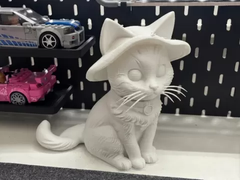 Kitty Cat in a Hat 🐱👒