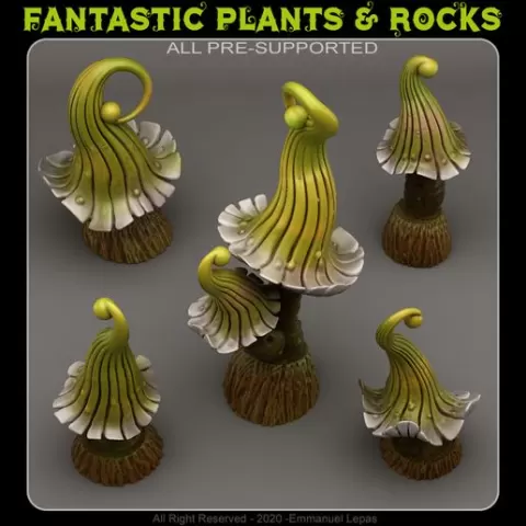 ENCHANTED MUSHROOMS
