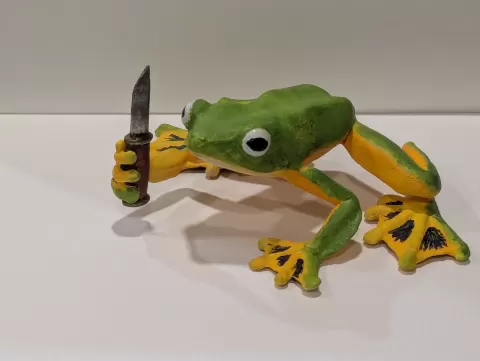 Wallace's Flying Frog Holding a Knife
