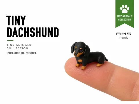 Tiny Dachshund Dog - Mini Animals Series