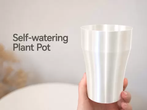Self-Watering Pot with Viewing Window