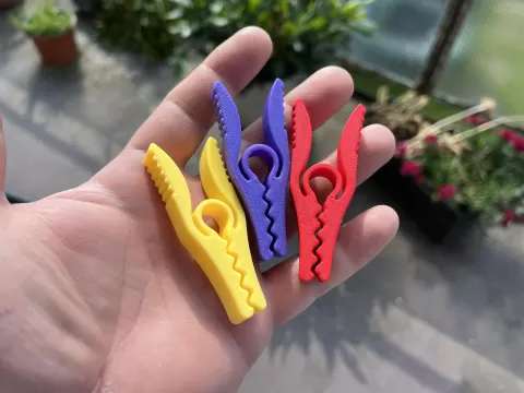 Clothes peg, food