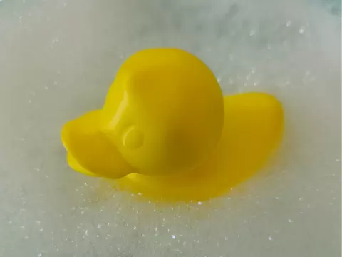 Paperella bagno