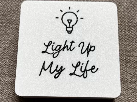 JUNG AS500 Series 1-Gang Light Switch Cover