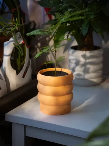 Bubble Planter