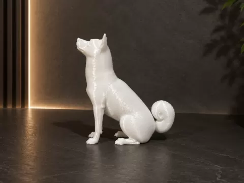 Shiba Inu - Dog - Animal