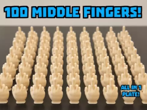 100 Middle Fingers to hide!