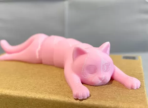 Flexi cat