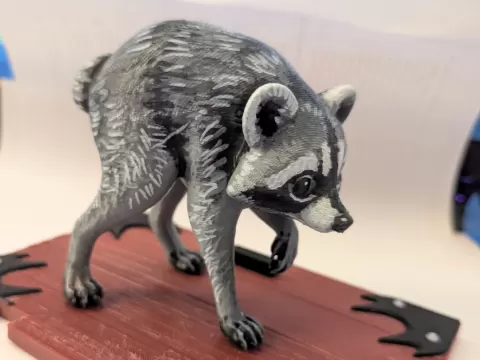 JIMOTHY The Raccoon