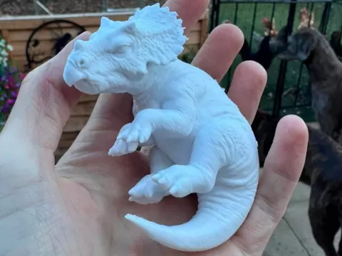 Triceratops Embryo