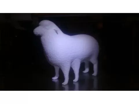 Sheep with Five Legs