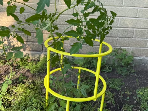 Customizable, Stackable, Parametric Plant Support