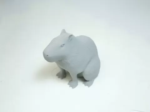 Sitting Capybara