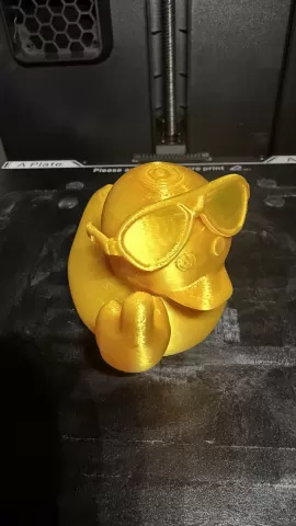 Cool Duckie