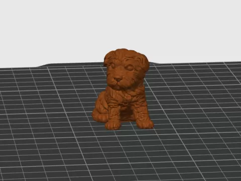 Small puppy
