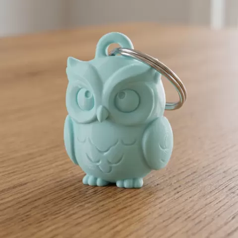 Magic Celestial Owl Keychain 🦉✨