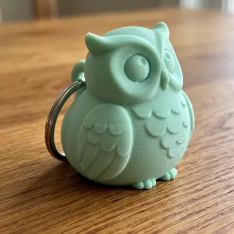 Chibi Library Owl Keychain 🦉📖
