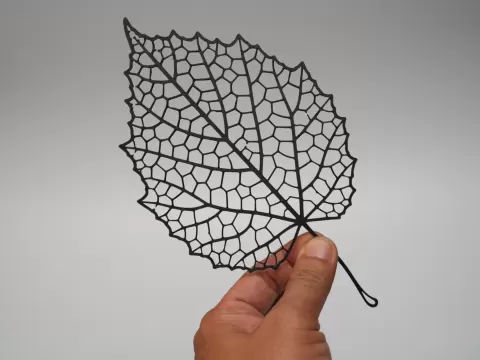 Delicate Leaf Skeleton Ornament | Nature Decor