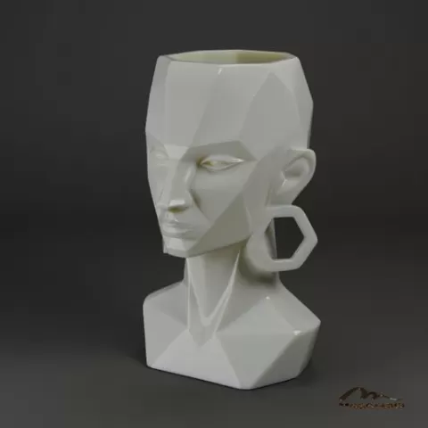 Geometric Face Planter
