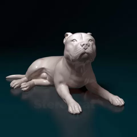 Pitbull by Giunninen Andrei